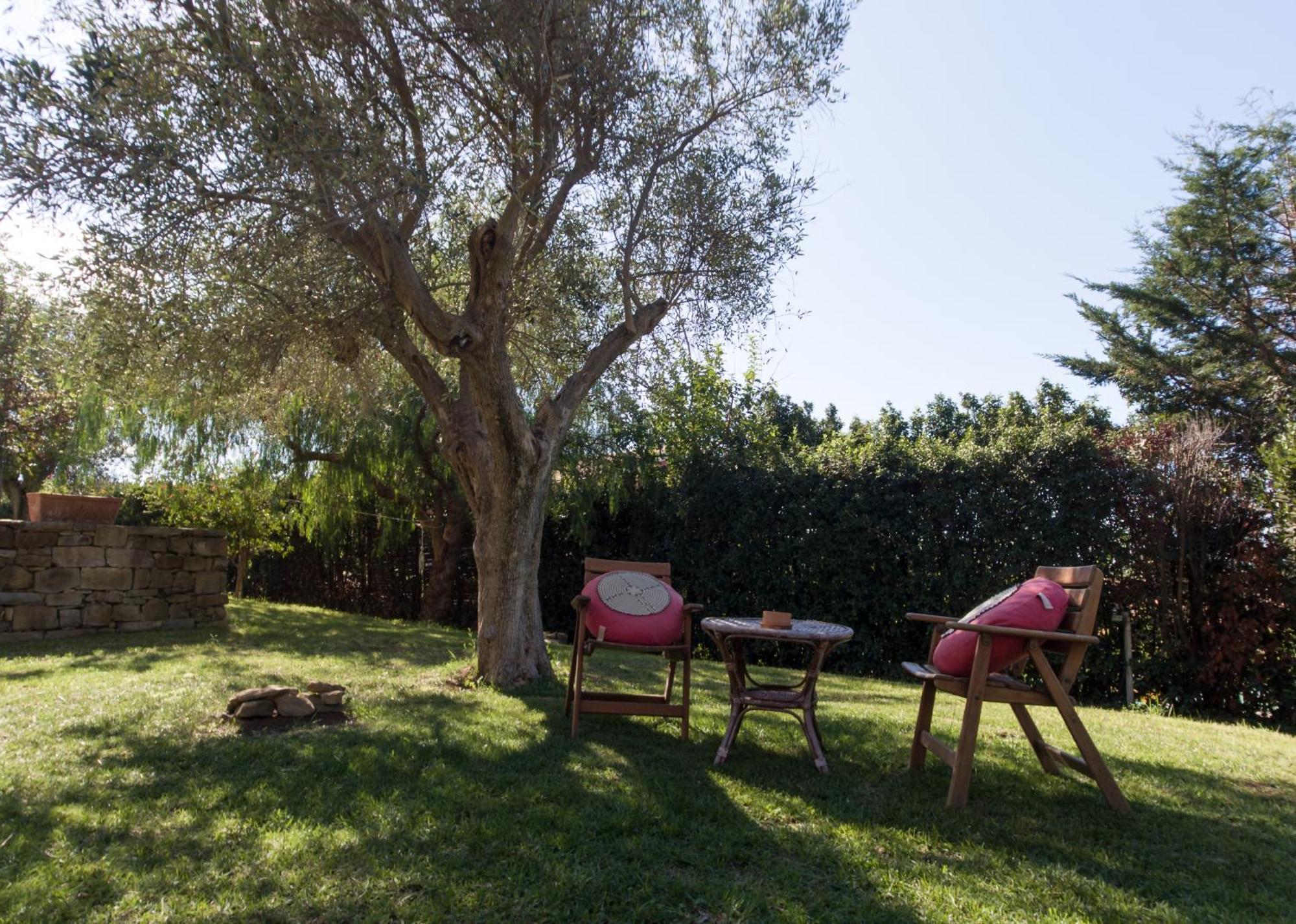 Villa Tresino Appartamenti Castellabate Exterior foto
